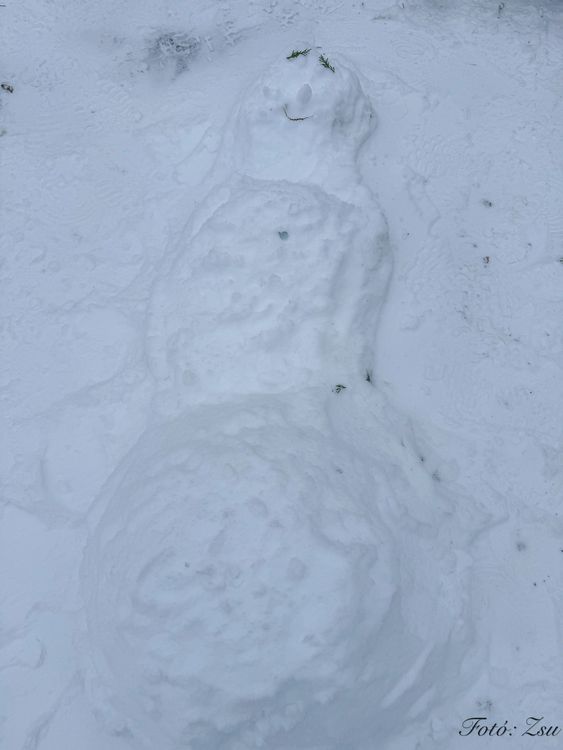 Hólényépítő verseny