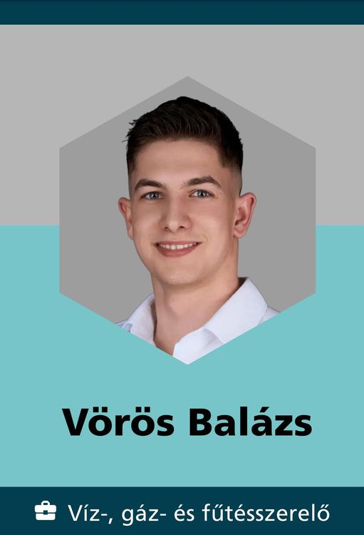 Vörös Balázs, a Szakmák Európa -bajnokságán kiválósági érmet szerzett