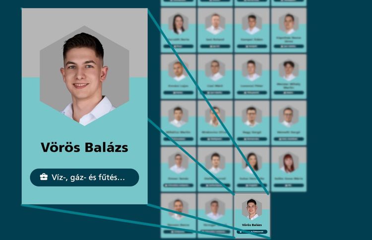 EuroSkills Herning 2025, Vörös Balázs