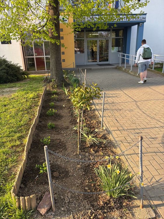 Iskolánk főbejáratát virágosítottuk