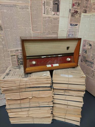 3t program_2026 (2).jpg