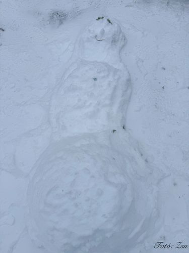 Hólényépítő verseny