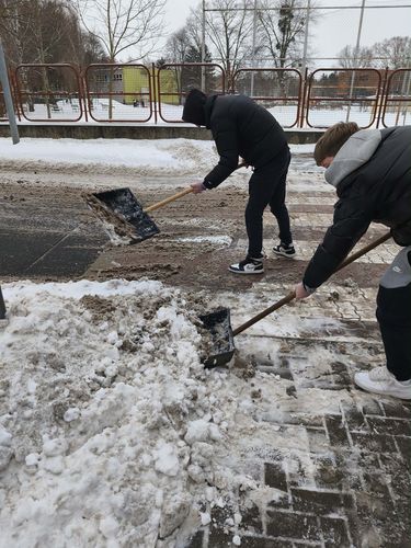 diakok_homentesites_2026 (2).jpg