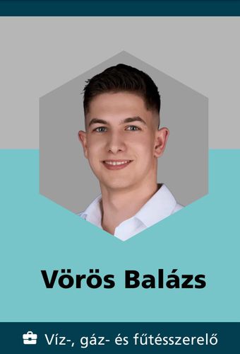 euroskills_herning_vorosbalazs_kivalosagerem_2025 (2).jpg
