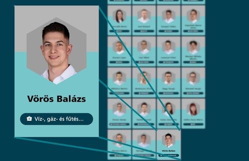 EuroSkills Herning 2025, Vörös Balázs