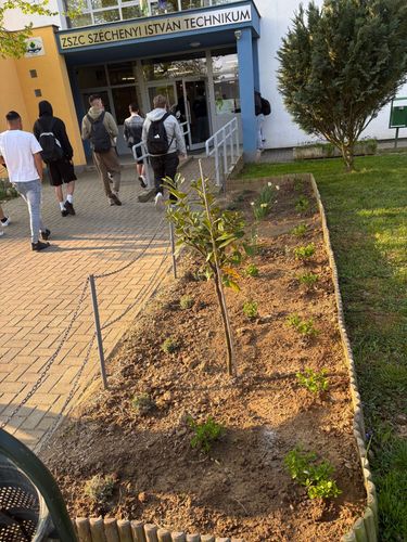 fobejarat_viragositas_2026 (2).jpg