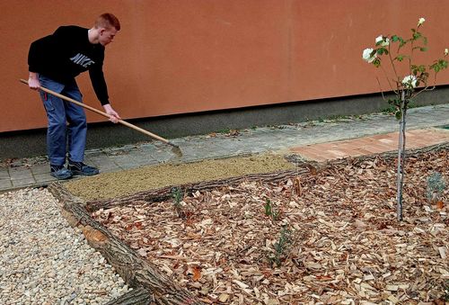 joszolgalat_mandulavirag_kesz_2025 (3).jpg