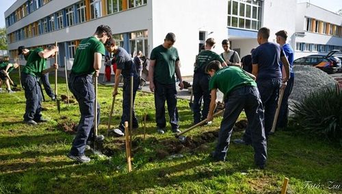 okoiskola_2023-24 (1).jpg